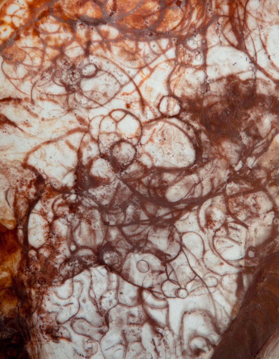 Ster Borgman - Stills of Deeptime