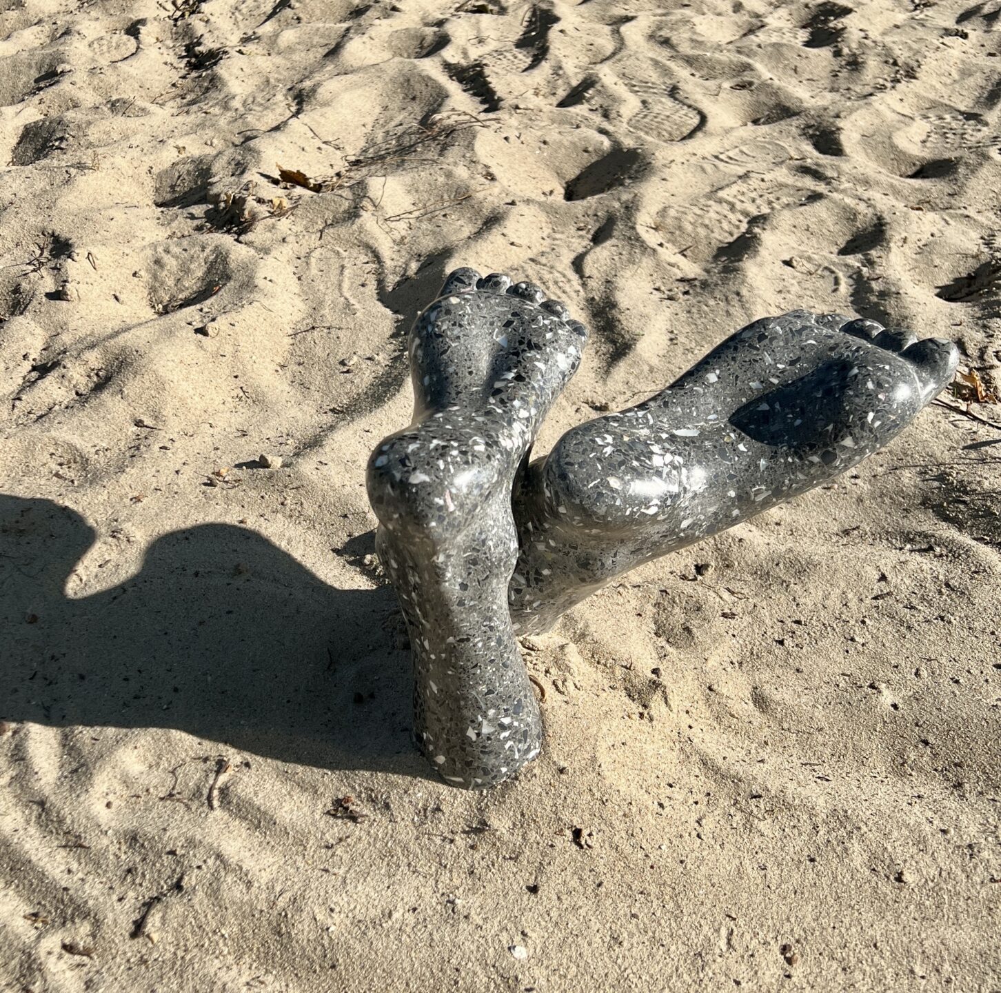 Expositie Strand en Duin