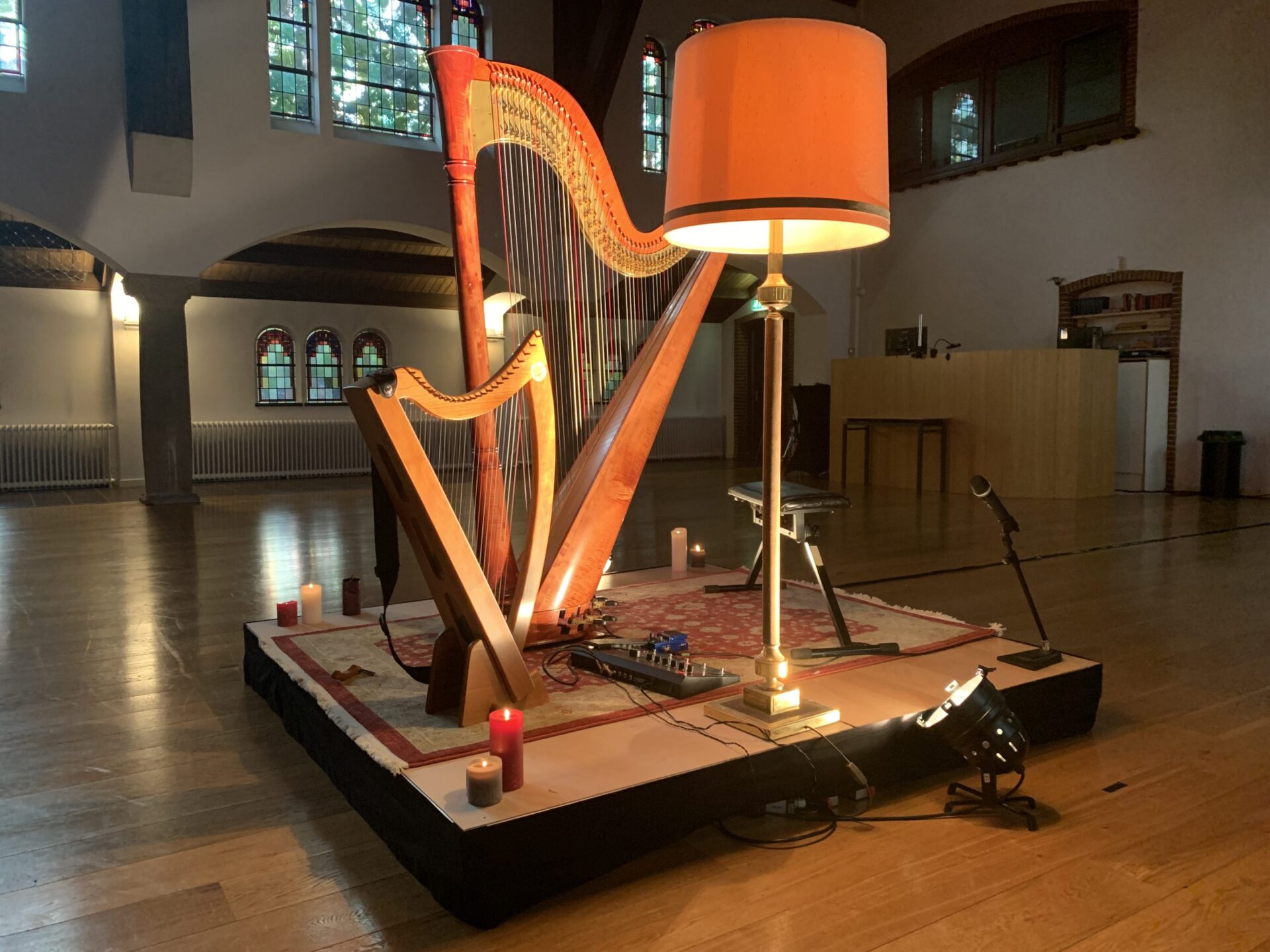 Ligconcert harp – Annelies Kole