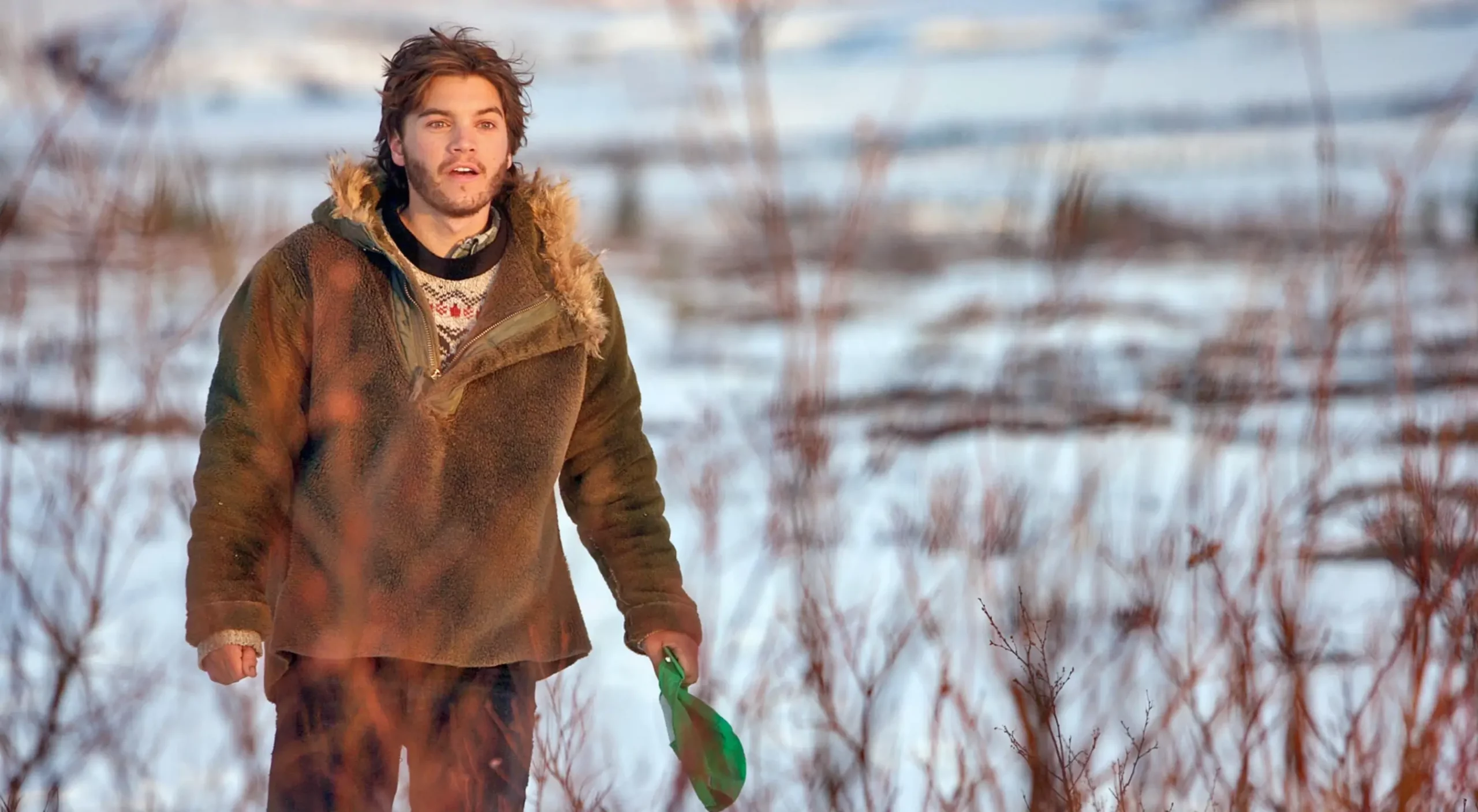 Film+  Into the wild