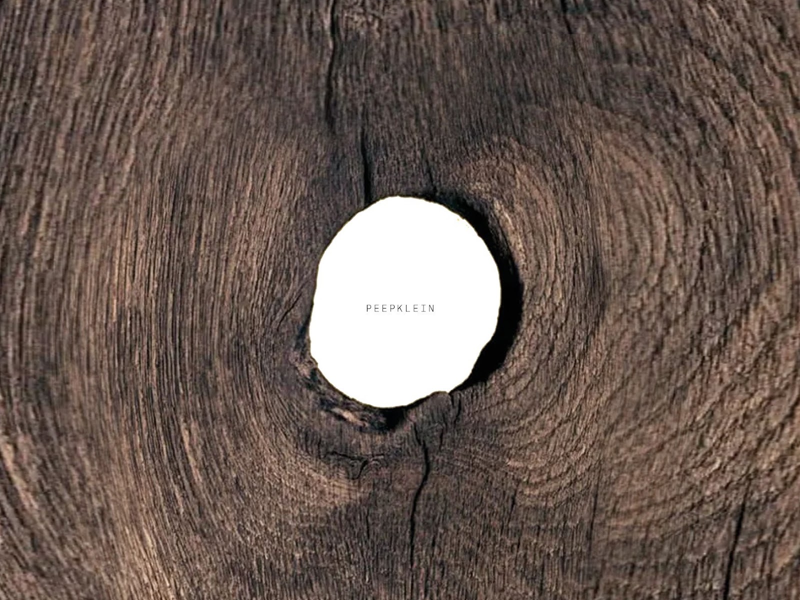 peepklein – diorama’s van anneke van de wal