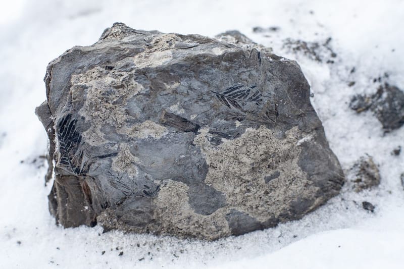 Of zal ik zachter praten?